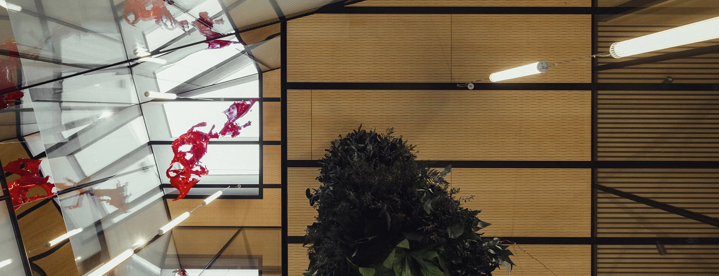 Lichthof von unten III